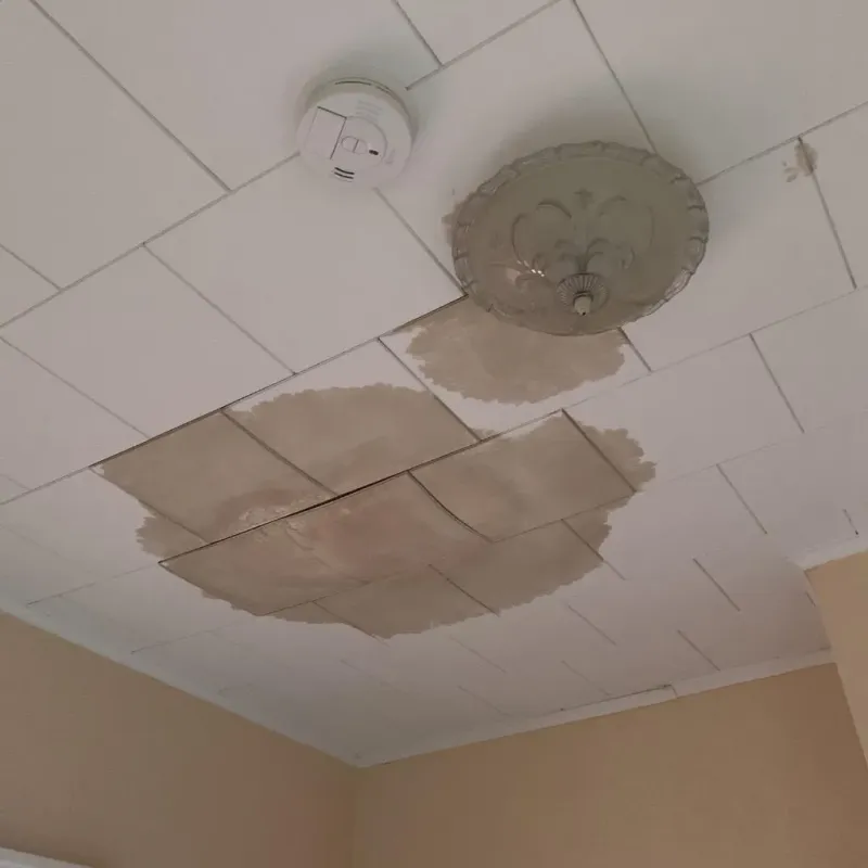 Ceiling Water Damage Repair in Combined Locks, WI