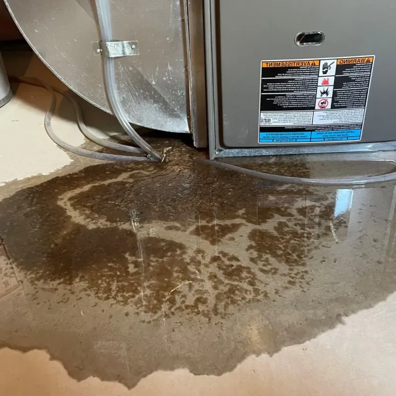 Pipe Burst and Leak Restoration in Combined Locks, WI