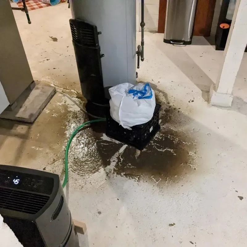 Sewage Backup Cleanup Service in Combined Locks, WI